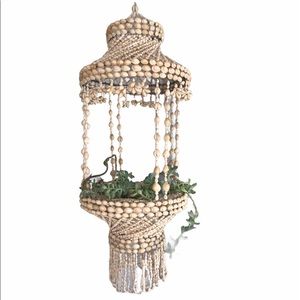 Seashell Plant Hanger